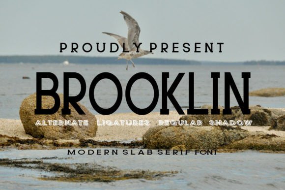 Brooklin: A Modern Slab Serif Font for Crafters